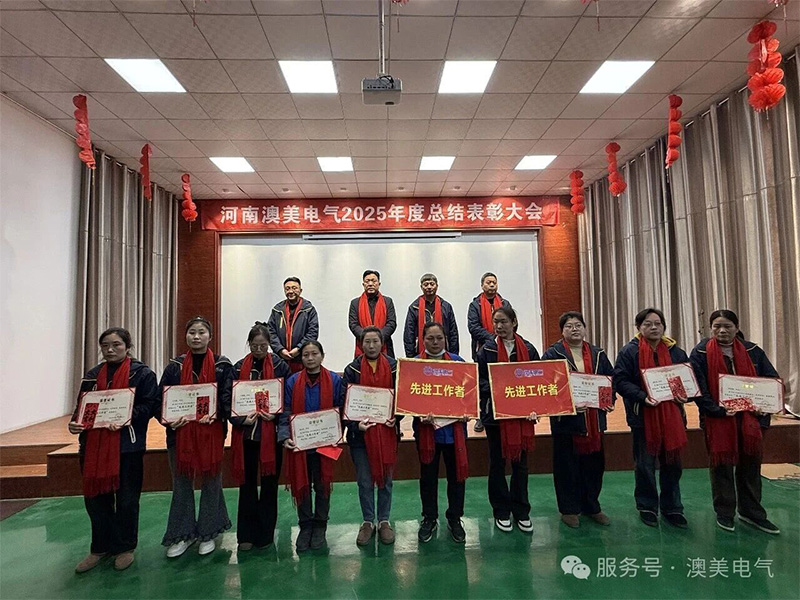 凝心聚力启新程 笃行实干谱新篇 —— 澳美电气 2025 年度总结表彰大会**举行